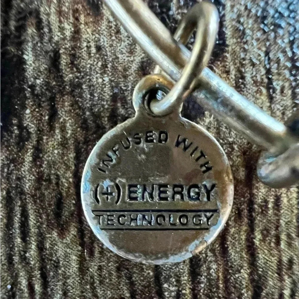 RETIRED: Alex and Ani | Class of 2013 charm bracelet - Picture 12 of 14